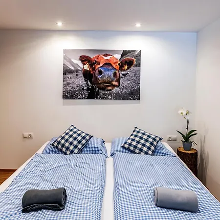 Ferienwohnung Haus Silvretta NOVA Tschagguns Exterior foto